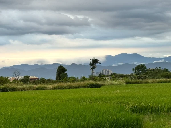旅行